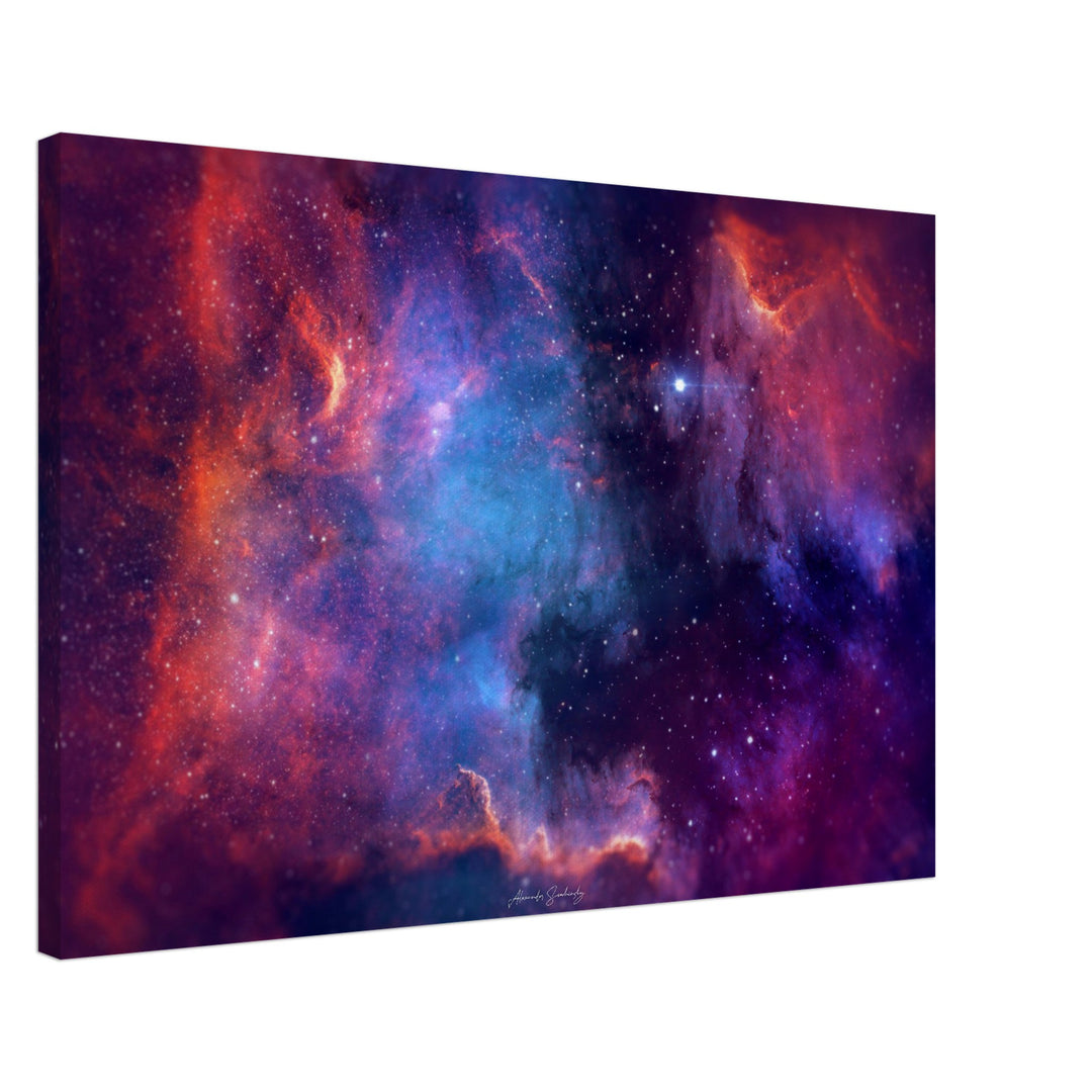 Canvas