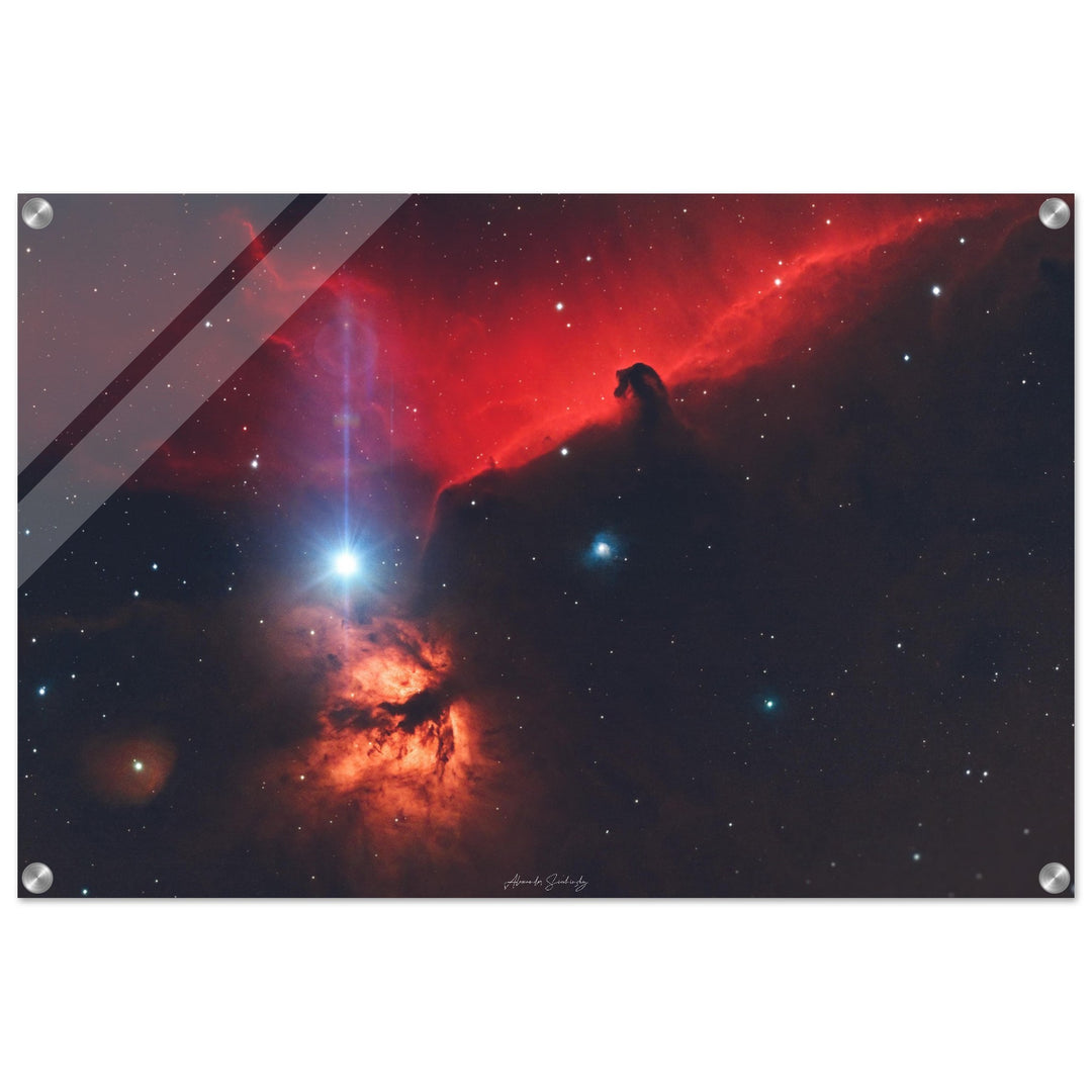 Acrylic Print