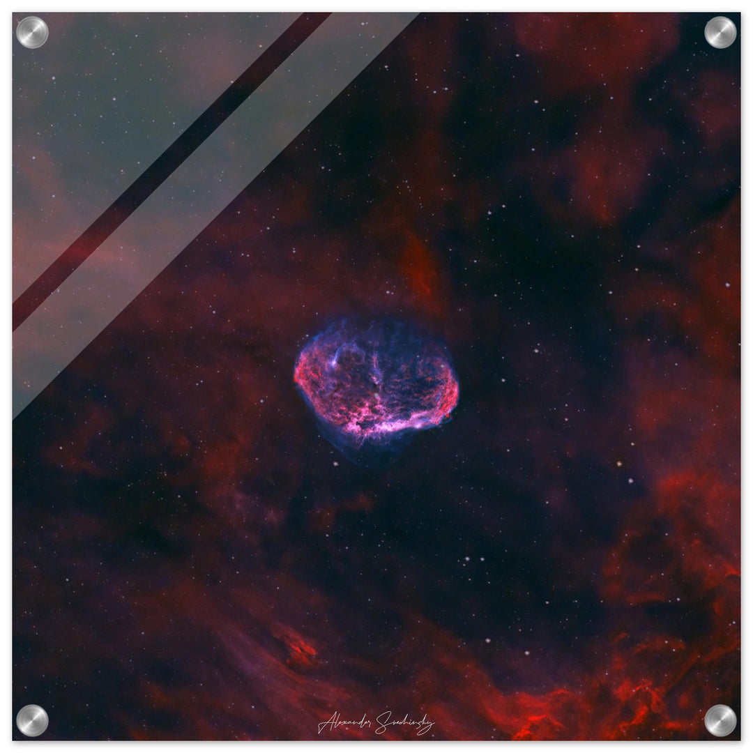 Acrylic Print - Square