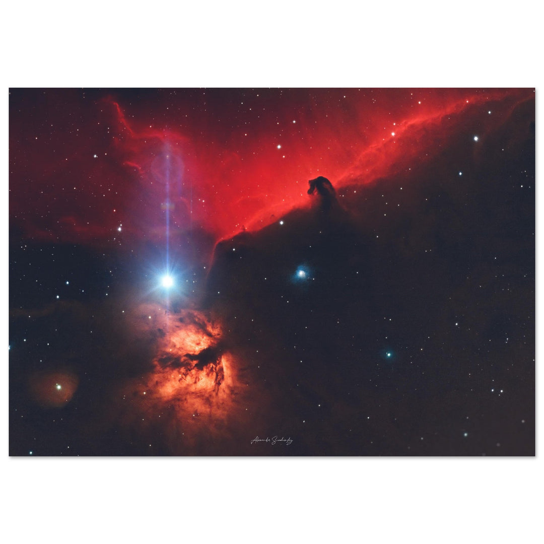 Matte Poster