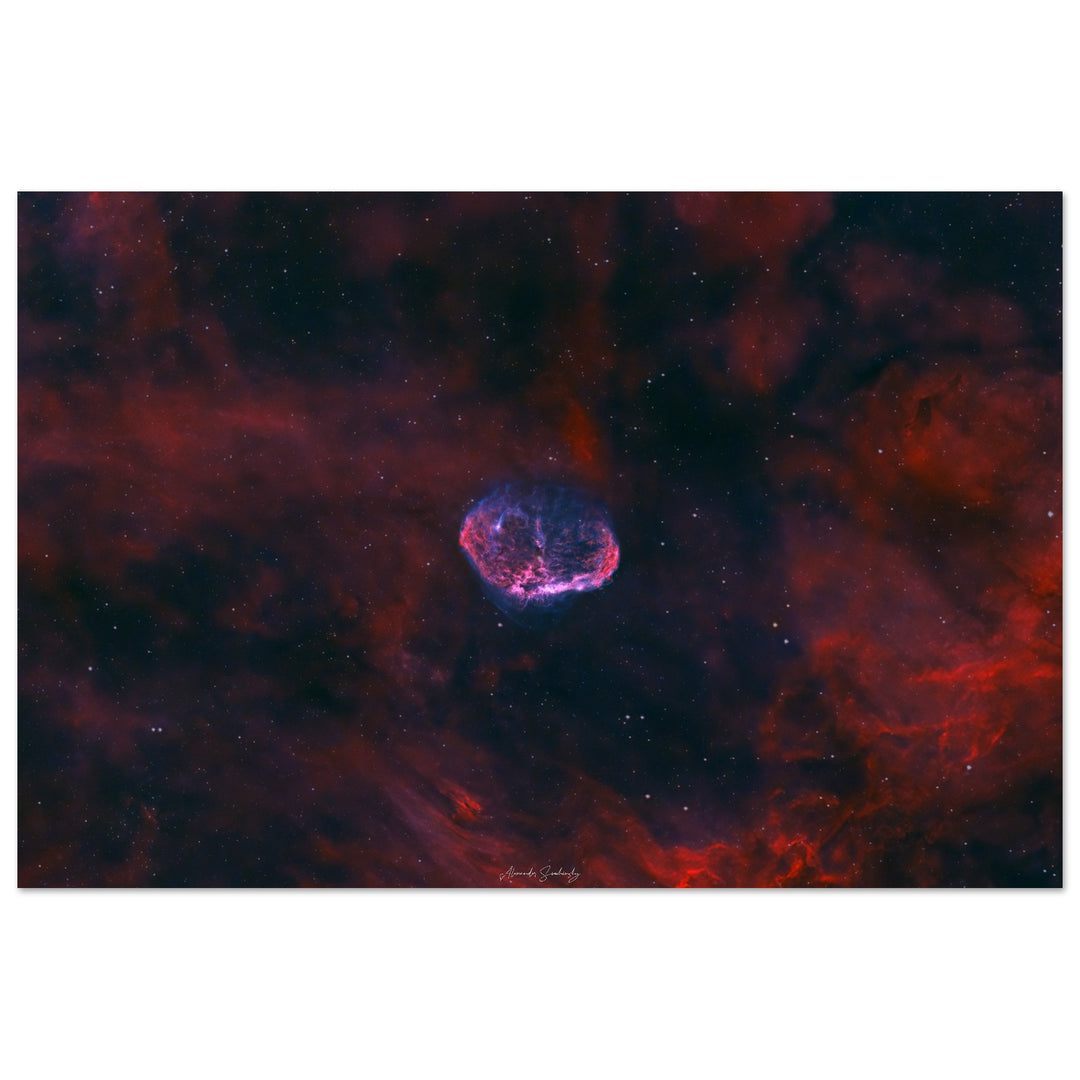 Matte Poster