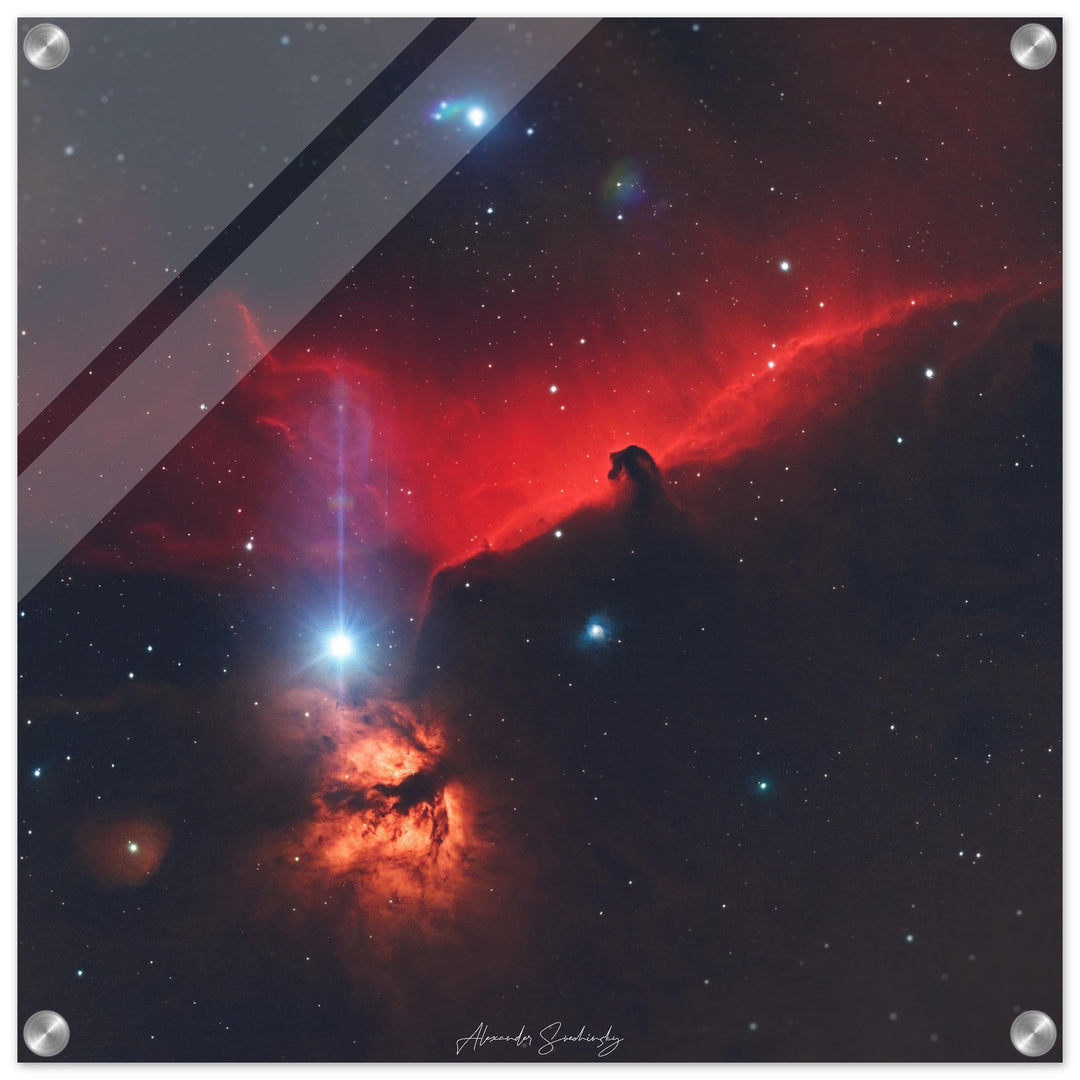 Acrylic Print - Square