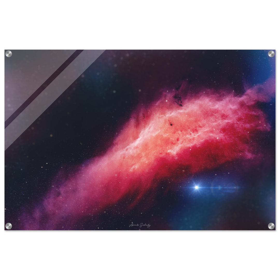 Acrylic Print