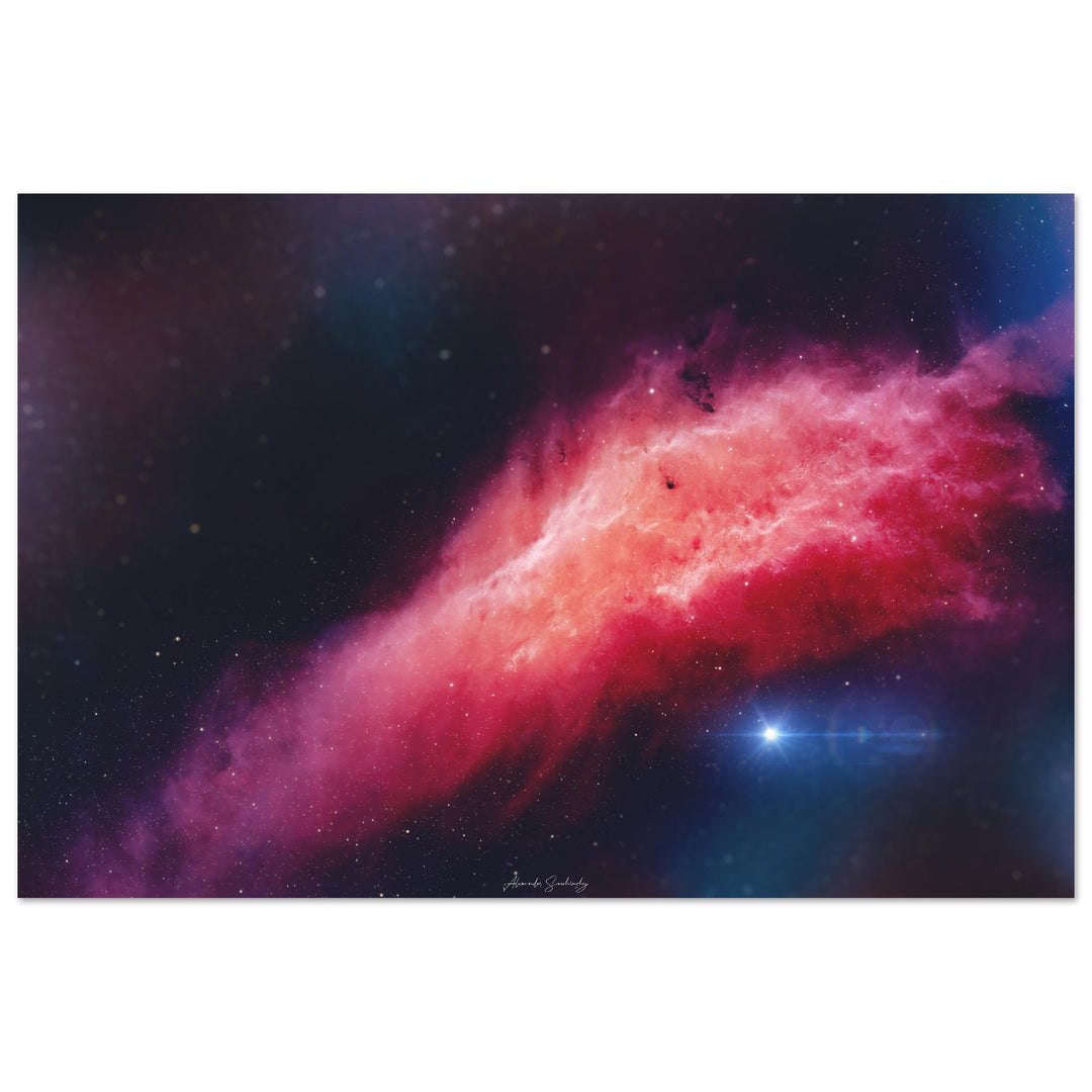 Matte Poster