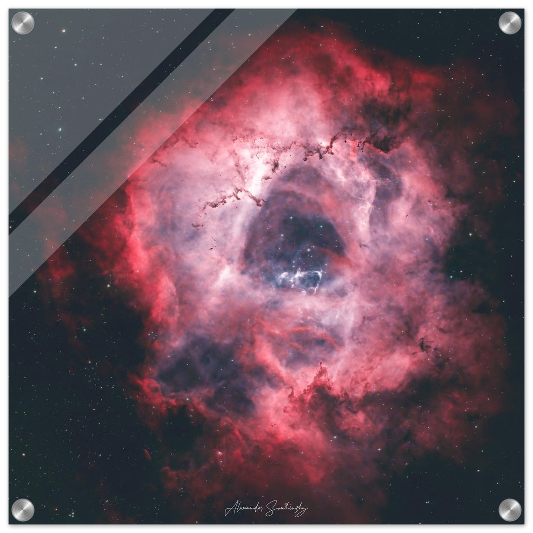 Acrylic Print - Square
